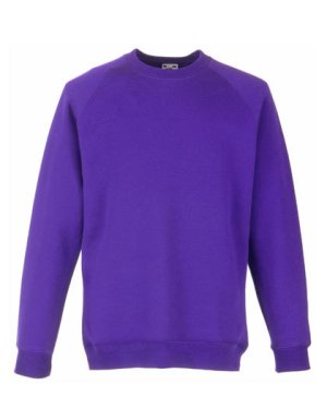 Premium Raglan Sweat Kids Kleur_W Purple