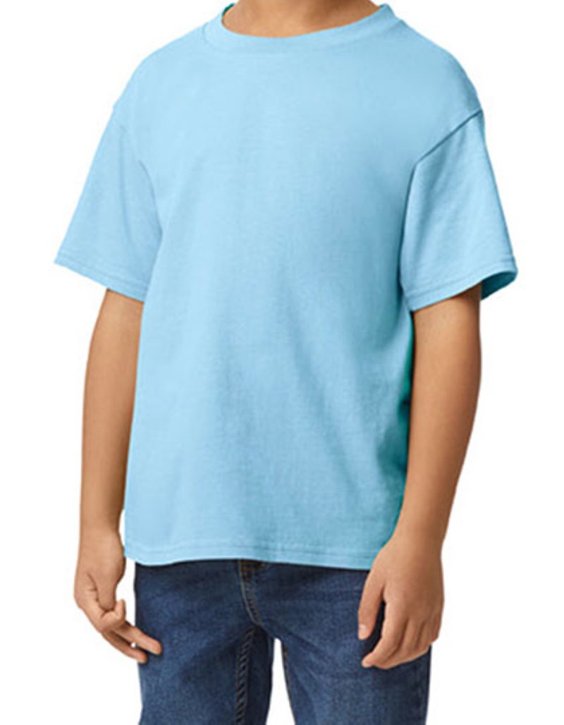 Softstyle Midweight Youth T-Shirt Kleuren light blue
