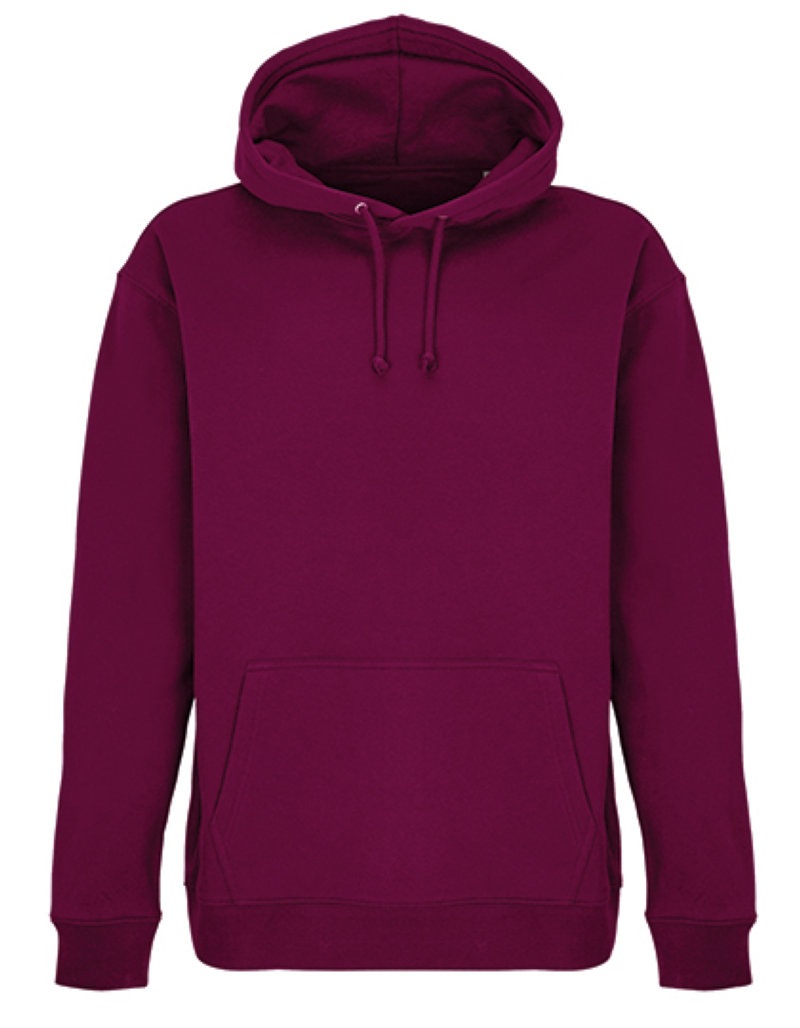 Unisex Condor Hooded Sweatshirt Kleuren astral purple