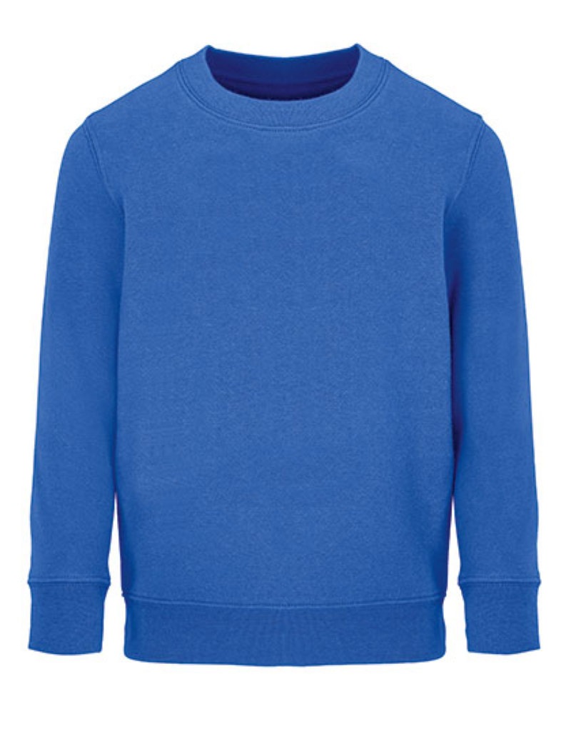 Kids Sweatshirt Columbia Kleuren royal blue 241