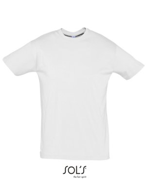 Regent T-Shirt 150 Kleur ASH (HEATHER)