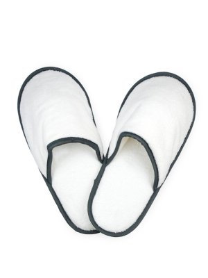 images/productimages/small/t1-slipperanthr-1.jpg