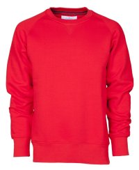 Sweater Payper MISTRAL+ 300gr 70/30