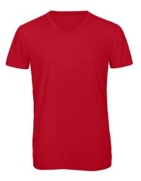 V-Neck Triblend T-Shirt /Men