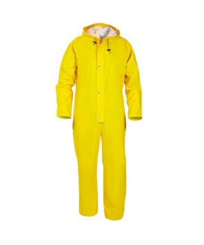 Salesbury  Regenoverall