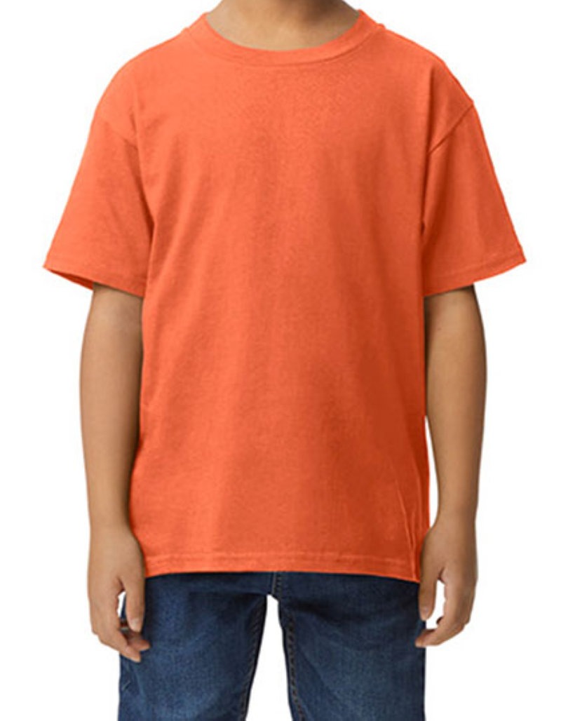 Softstyle Midweight Youth T-Shirt