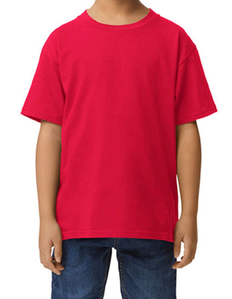 Softstyle Midweight Youth T-Shirt