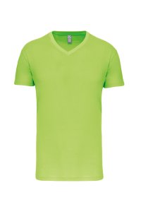 BIO150 V-neck t-shirt K3028