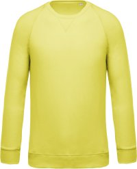 Organic cotton crew neck raglan sleeve sweatshirt