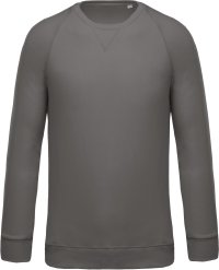 Organic cotton crew neck raglan sleeve sweatshirt