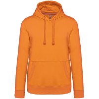 Hooded sweatshirt K489 300 gr LSF 60° wasbaar